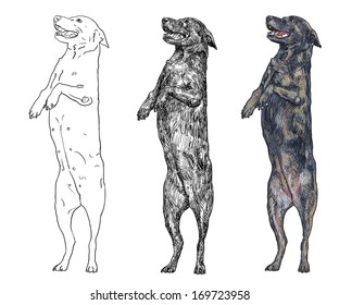 犬 立つ のイラスト素材 画像 ベクター画像 Shutterstock