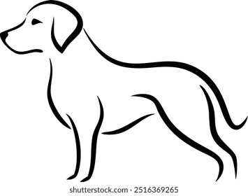 A dog is standing in front of a white background. The dog is looking at the camera