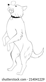 dog standing on hind legs