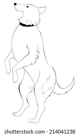 dog standing on hind legs