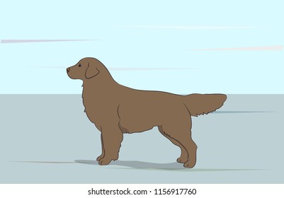 dog standing on nature, color, vector, outdoors
