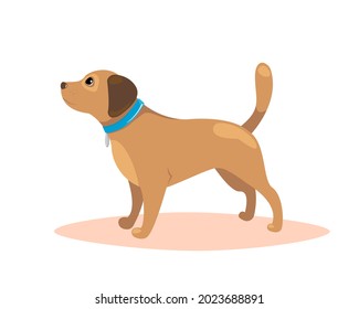 Dog standing. Pet training concept. Vector illustration.