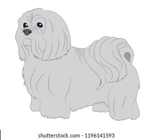 dog is a the dog is standing vector, White background
