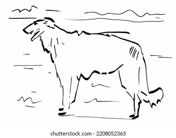 dog standing in yard.Ink illustration. Vector EPS 10