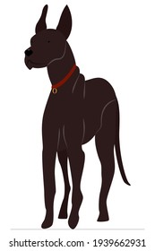 Dog stands in an angle. Big beautiful dog with raised ears and red collar. Vector, isolated on white, style flat.