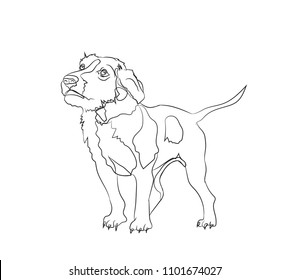 dog stands, lines, vector, white background