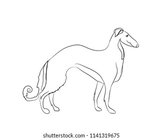 dog stands, lines, vector, white background