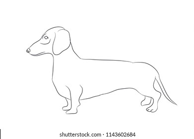 dog stands, lines, vector, white background