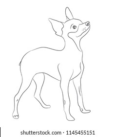 dog stands, lines, vector, white background