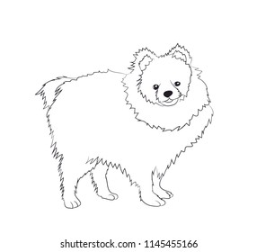 dog stands, lines, vector, white background
