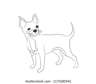dog stands, lines, vector, white background