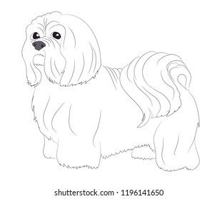dog stands lines, vector, white background, dog stands