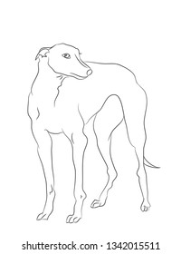 dog stands lines, vector, white background, dog stands