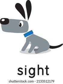 The dog stands and looks. Five senses. Sight