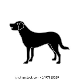 dog stands on a white background vector