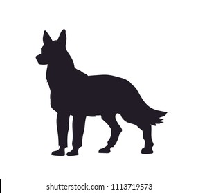 dog stands, silhouette, vector, white background