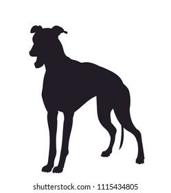 dog stands, silhouette, vector, white background