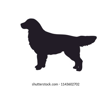dog stands  silhouette  vector  white background