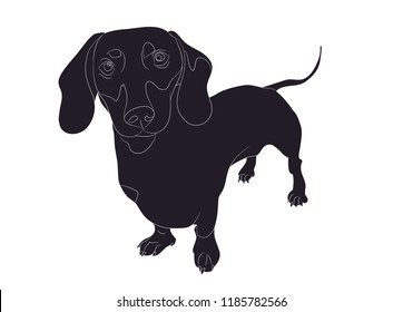 dog stands, silhouette, vector, white background