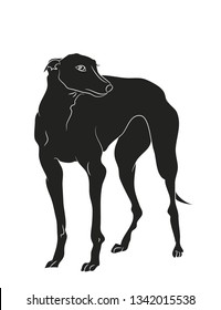 dog stands silhouette, vector, white background, vector