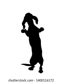 dog stands, silhouette, vector, white background