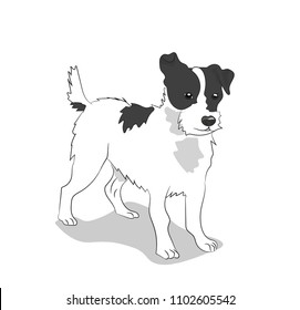 dog stands, vector, white background