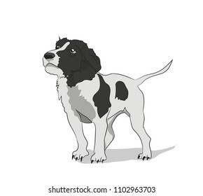 dog stands, vector, white background