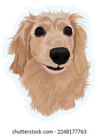Dog sticker vector.Dachshund dog sticker. Vector dog isolated on a white Background. 