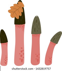 Dog stinkhorn mushroom, known as the   phallus. Vector illustration.