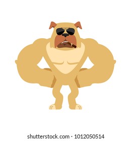 Dog Strong ,Cool and serious. Pet smoking cigar emoji. Bulldog strict. Vector illustration