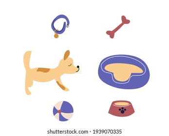 dog stuff items. set of flat cartoon elements. cute puppy