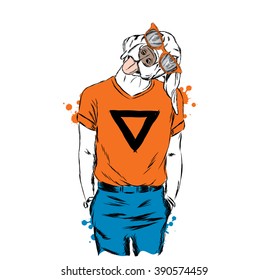 Dog in the stylish clothes. Vector illustration.