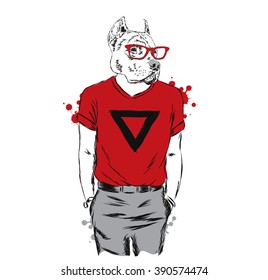 Dog in the stylish clothes. Vector illustration.