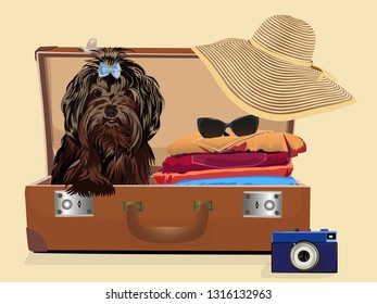 A dog in a suitcase. Baggage. Vector illustration.