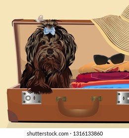 A dog in a suitcase. Baggage. Vector illustration.