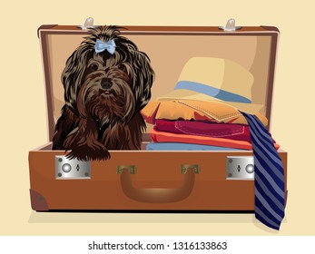 A dog in a suitcase. Baggage. Vector illustration.