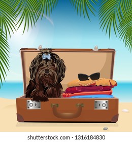 A dog in a suitcase. Baggage. Vector illustration.