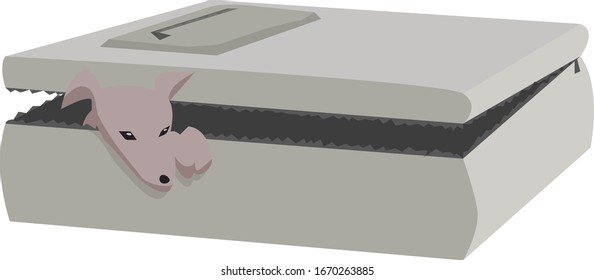 Dog in suitcase, illustration, vector on white background.
