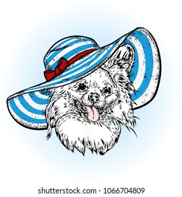 A dog in a summer beach hat. Vector illustration. Yorkshire Terrier. Puppy.