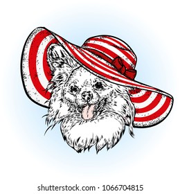 A dog in a summer beach hat. Vector illustration. Yorkshire Terrier. Puppy.