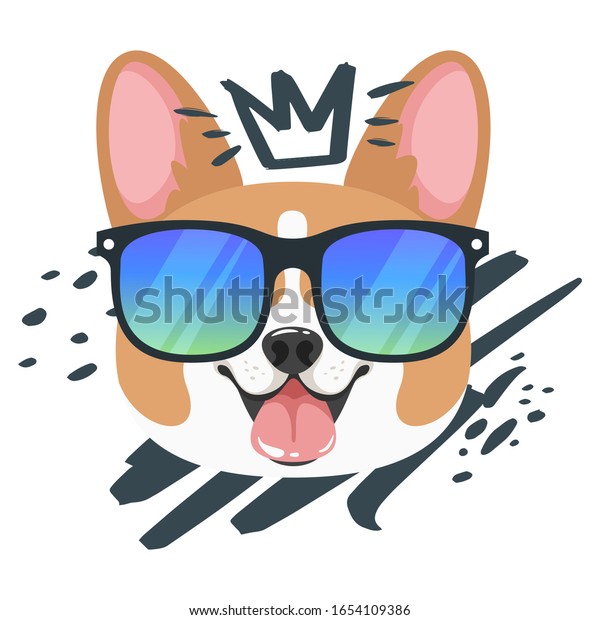 dog sunglasses