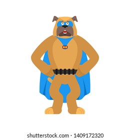 Dog superhero. Super pet in mask and raincoat. Strong animal