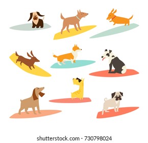 Dog surfers set, vector cartoon illustrations. Dogs breeds on surfboard. Funny Cute dogs. Isolated on white