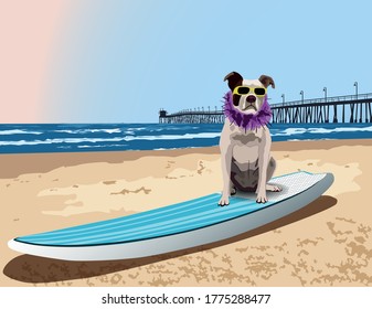 Dog surfing. Dog on the beach with a surfboard, seaside and a blue sky on the background