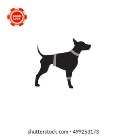 Dog in Sweater Icon