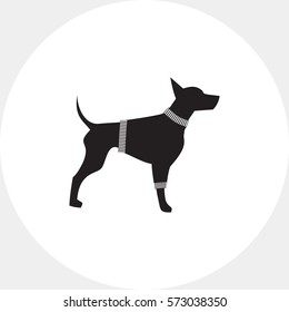 Dog in Sweater Icon
