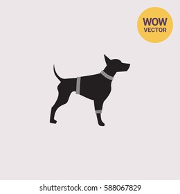 Dog in Sweater Icon