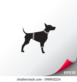 Dog in Sweater Icon
