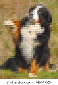 The dog as a symbol of the year