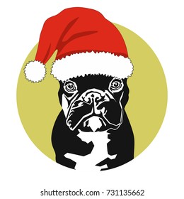 dog symbol of the year in a santa hat French bulldog